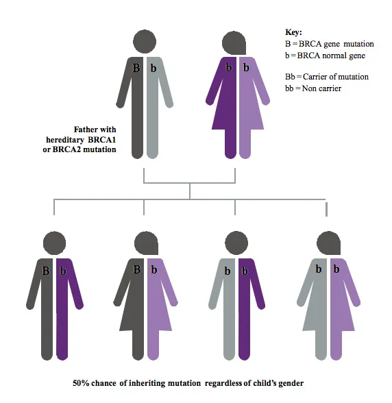 BRCA mutations