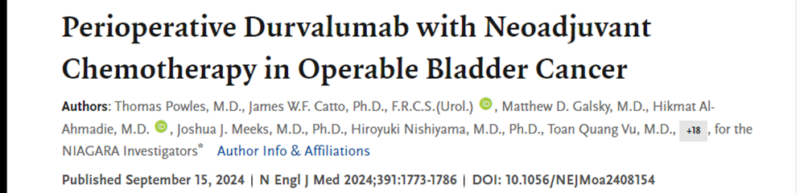 Perioperative Durvalumab with Neoadjuvant Chemotherapy in Bladder Cancer