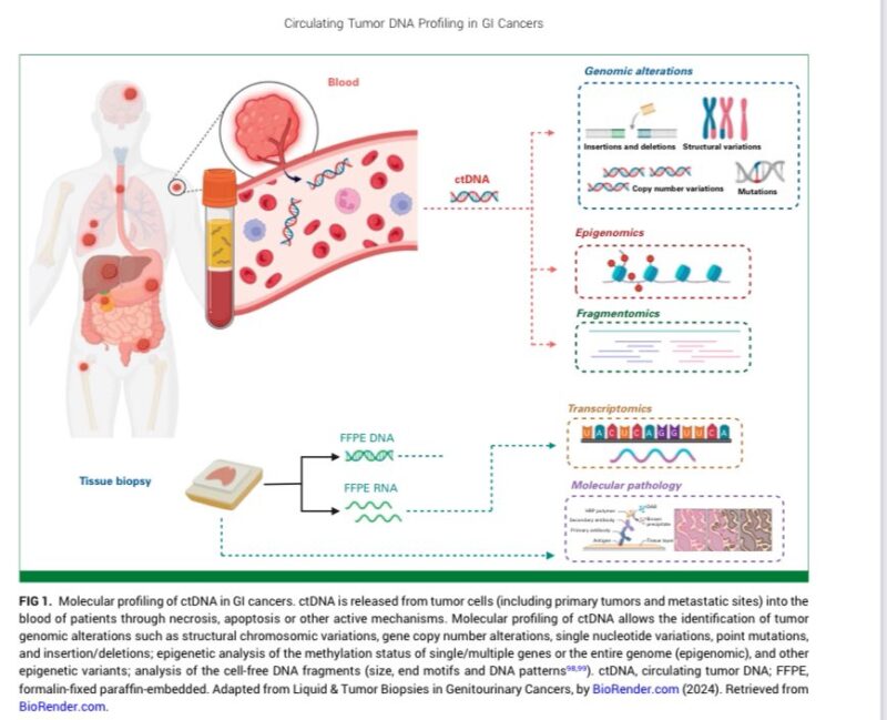 Clinical applications and approved platforms of ctDNA in GI cancers