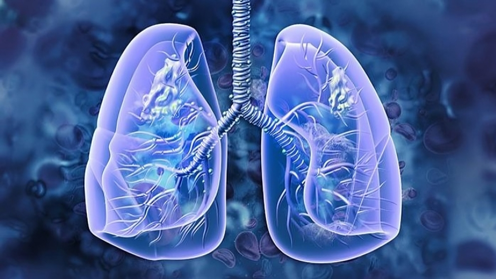 Improving Reporting Standards in Lung Cancer Trials