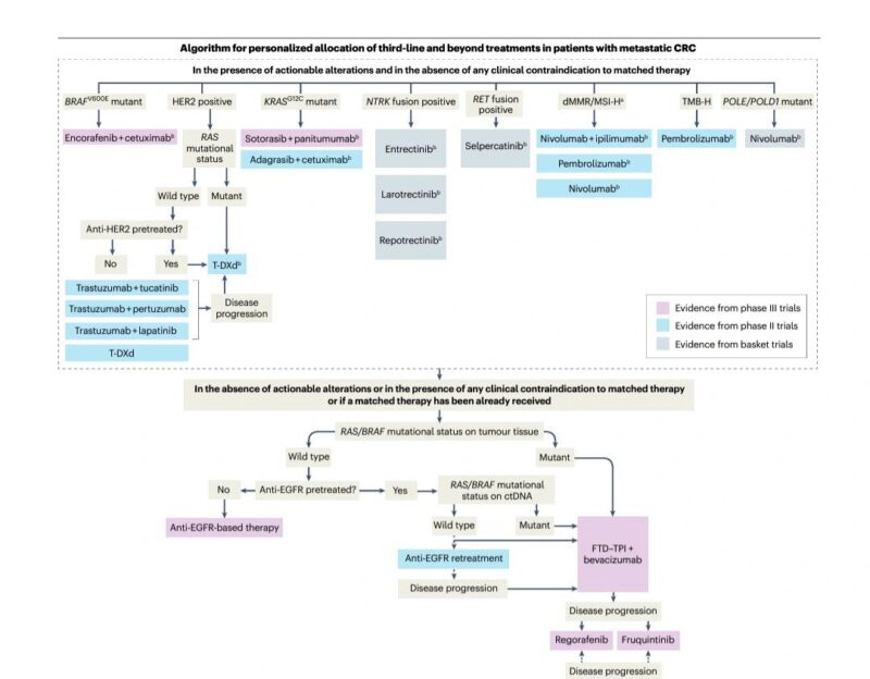 Amol Akhade: Metastatic colorectal cancer - third line and beyond