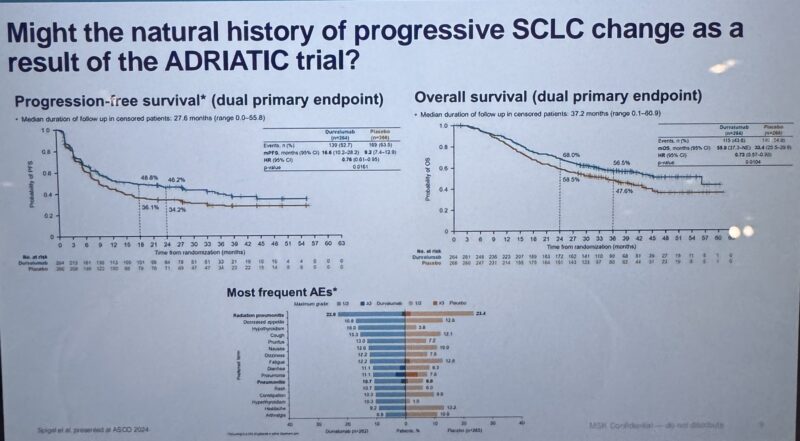 Highlights from New York Lung Cancers Symposium 2024 by Stephen V Liu