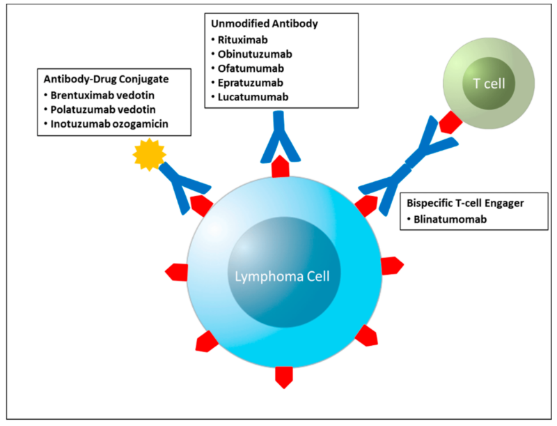 immunotherapy for lymphoma