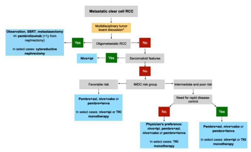 Regina Barragan-Carrillo: First and second - line treatments in metastatic renal cell carcinoma