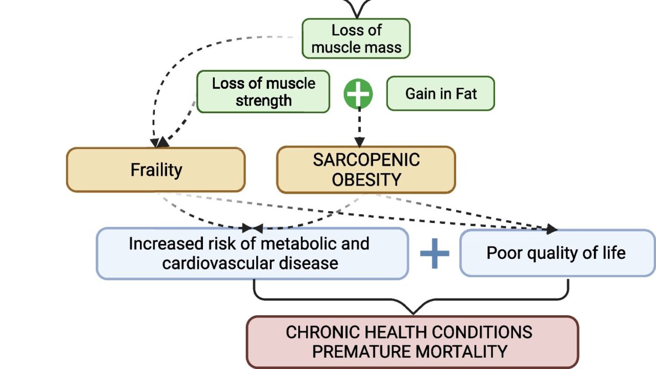 Gargi Das: Highlighting Sarcopenic Obesity in Childhood ALL Survivors