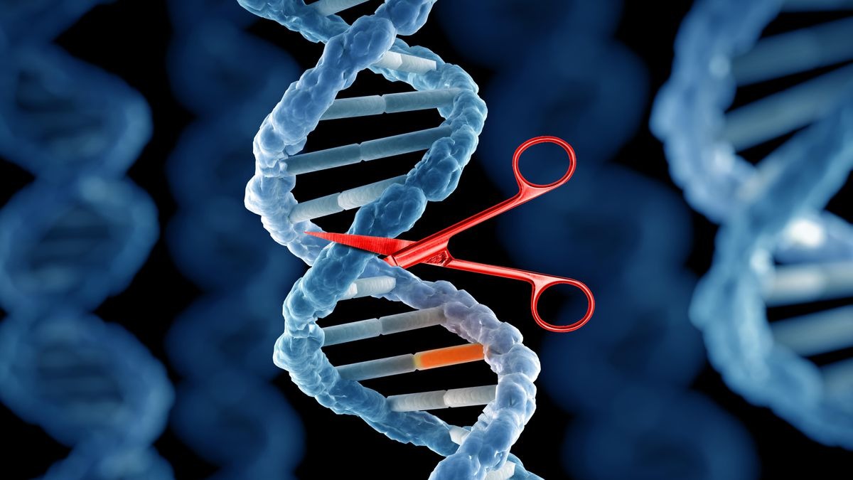 RNA-Targeting CRISPR Uncovers Hundreds of Essential Noncoding RNAs in Human Development and Cancer