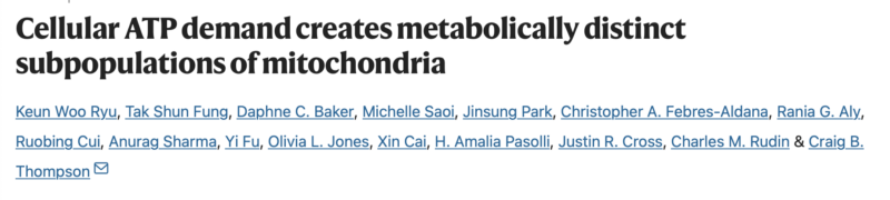 Pancreatic adenocarcinoma to develop unique mitochondrial subpopulations under stress