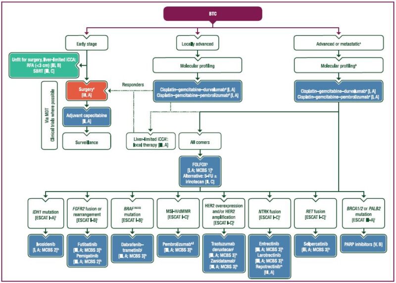 Juan W. Valle: ESMO updates BTC guidelines for advanced care