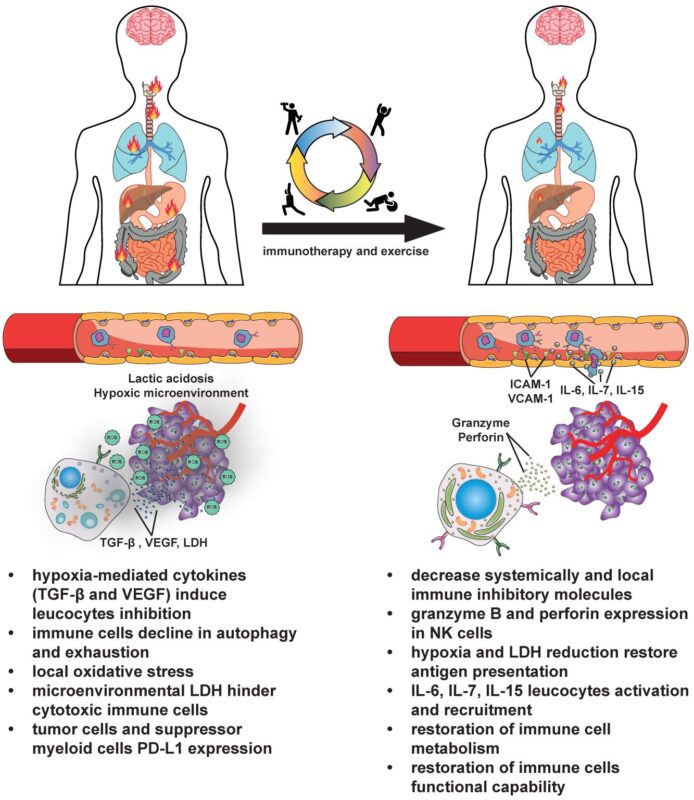 The effect of exercise in aiding cancer treatment and mitigating the treatment side-effects, suggested by Christopher Fitzmaurice