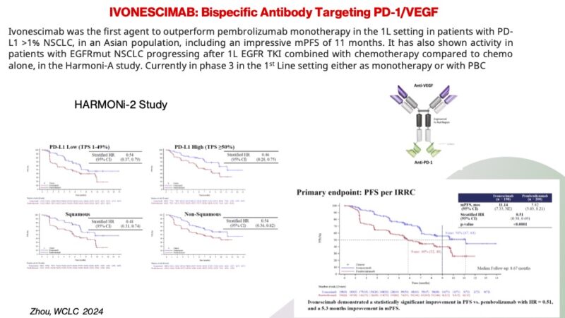 Giannis Mountzios: 10 exciting compounds that will shape lung cancer in 2025