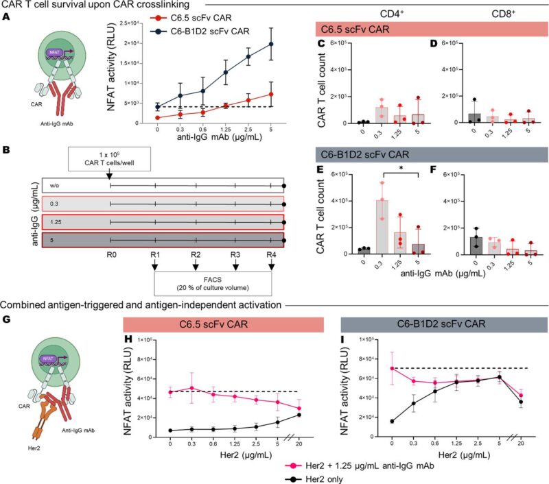 Rational CAR design for augmented T cell function - Journal for ImmunoTherapy of Cancer