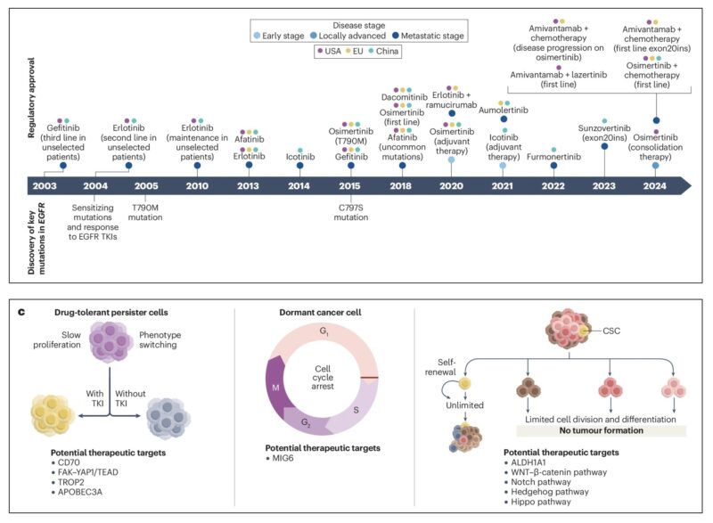 2024 Marks The 20th Anniversary of The Discovery of EGFR in NSCLC