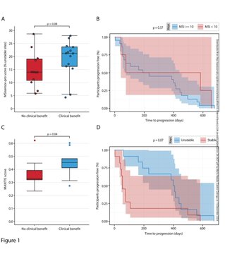 Next generation sequencing-based MSI scoring predict benefit in dMMR tumors treated with nivolumab