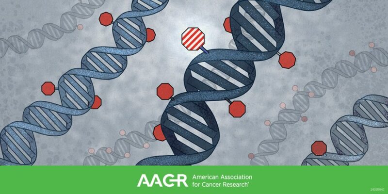 AACR Special Conference on DNA Methylation, Clonal Hematopoiesis, and Cancer