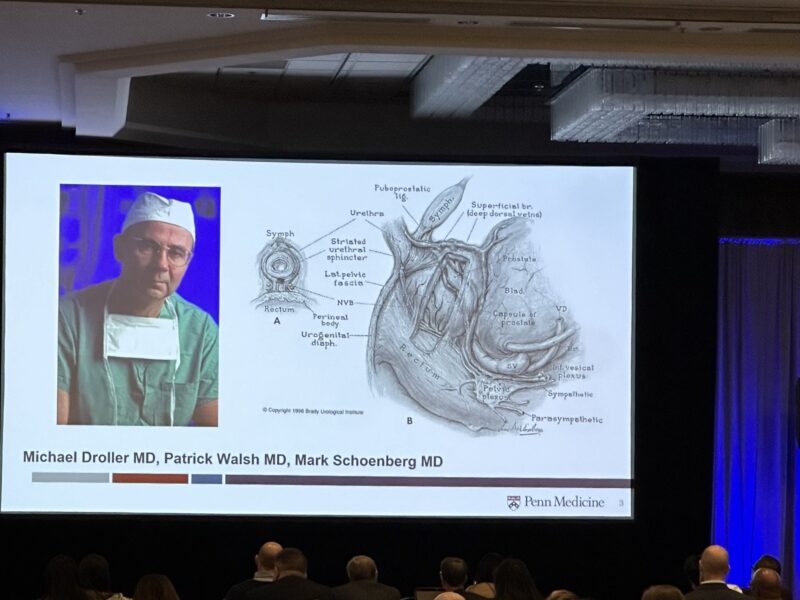 Highlights from the Society of Urologic Oncology (SUO) 2024