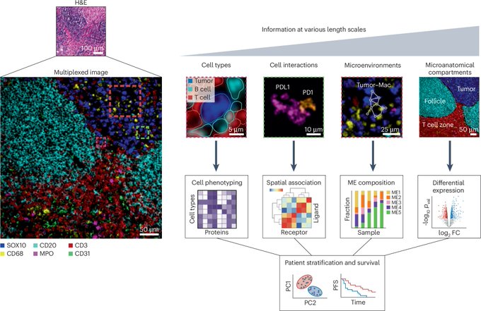 Nature Methods announces Spatial Proteomics as 2024’s Method of the Year!