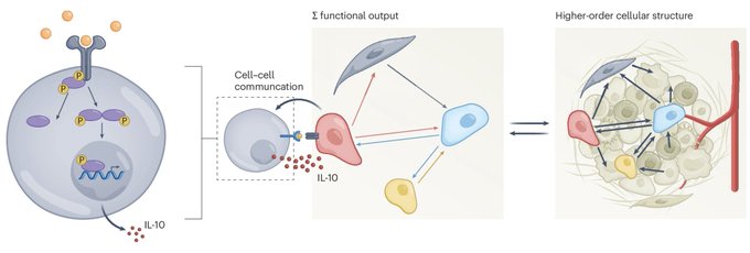 Nature Methods announces Spatial Proteomics as 2024’s Method of the Year!