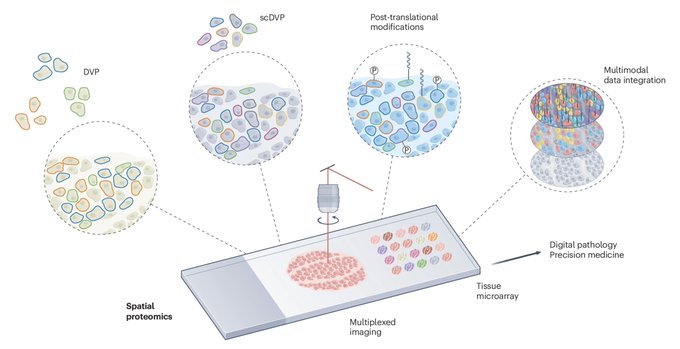 Nature Methods announces Spatial Proteomics as 2024’s Method of the Year!