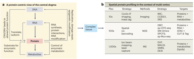 Nature Methods announces Spatial Proteomics as 2024’s Method of the Year!