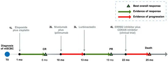 Durable Objective Response to Lurbinectedin in Small Cell Bladder Cancer with TP53 Mutation