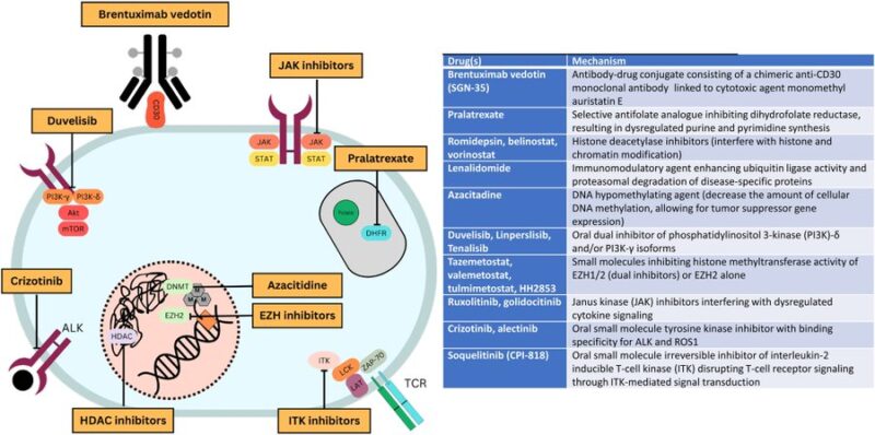 Ahmed Kotb: Targeted Therapies in PTCL