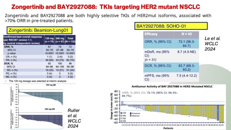 Giannis Mountzios: 10 exciting compounds that will shape lung cancer in 2025