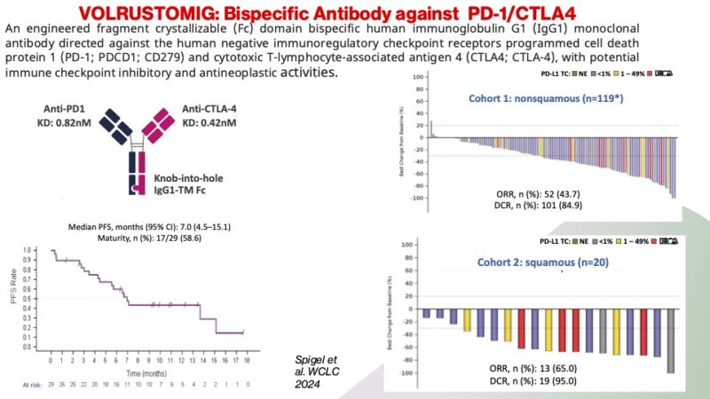 Giannis Mountzios: 10 exciting compounds that will shape lung cancer in 2025