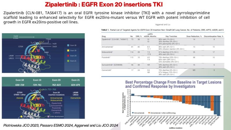 Giannis Mountzios: 10 exciting compounds that will shape lung cancer in 2025