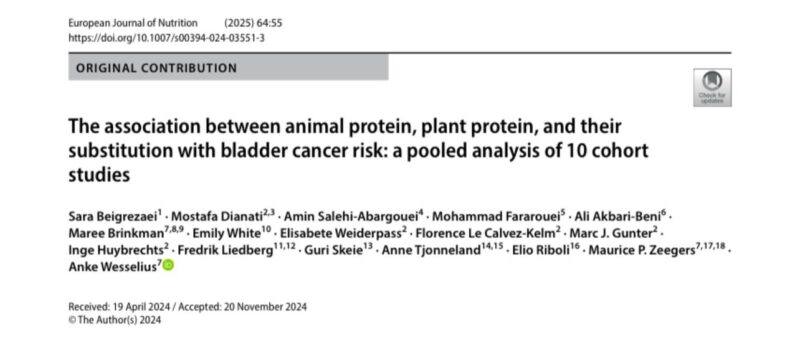 Laura Bukavina: No significant link was found between plant-based or animal-based protein intake and bladder cancer risk