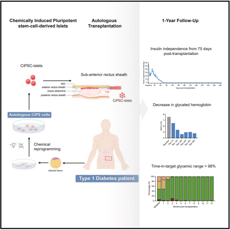 "2024's top 10 advances in medicine" suggested by Samuel Hume