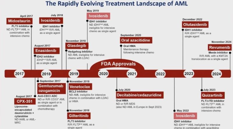 Ahmed Kotb: The Rapidly Evolving AML Treatment Landscape