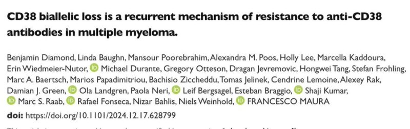 Francesco Maura: CD38 loss as mechanisms of resistance to anti-CD38 MoAb in myeloma