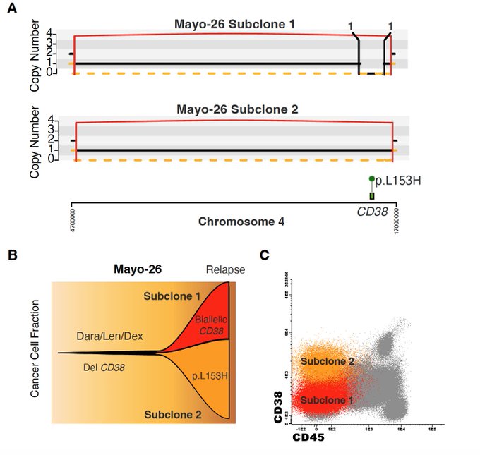 Francesco Maura: CD38 loss as mechanisms of resistance to anti-CD38 MoAb in myeloma