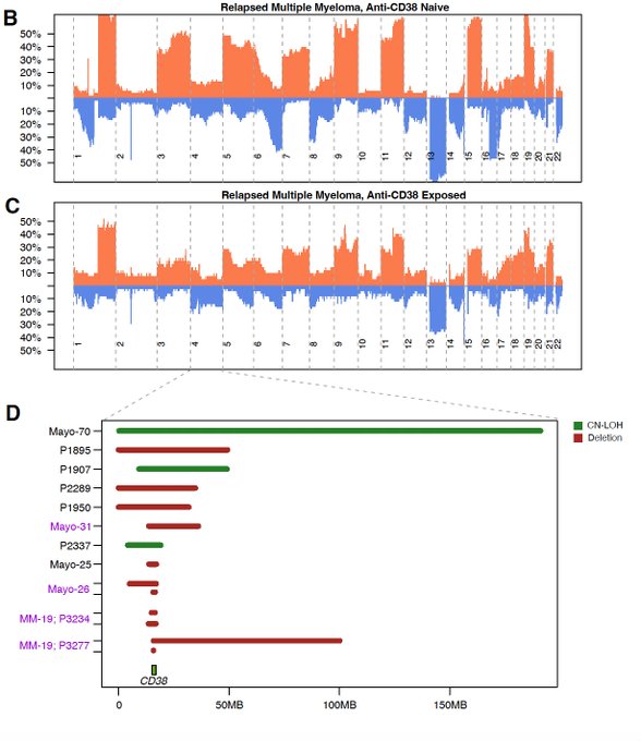 Francesco Maura: CD38 loss as mechanisms of resistance to anti-CD38 MoAb in myeloma