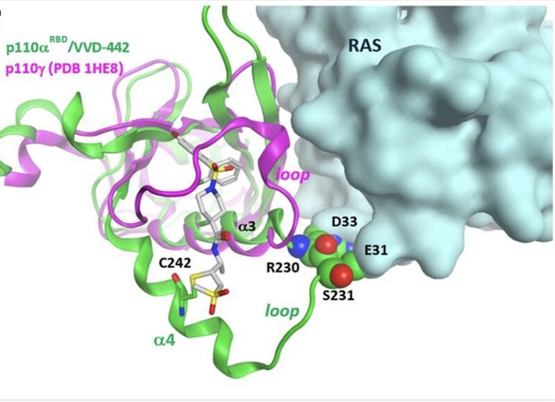 Anirban Maitra: Targeting the PI3Ka-RAS interaction axis