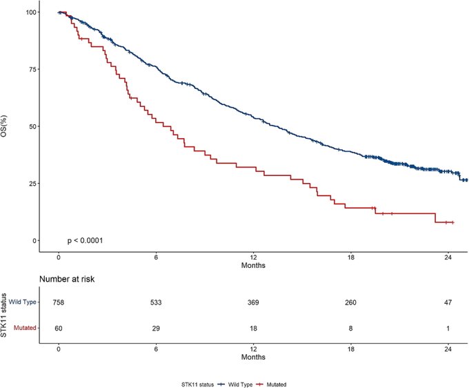 Andrea De Giglio: The prognostic role of STK11 mutations in advanced NSCLC treated with first-line IO