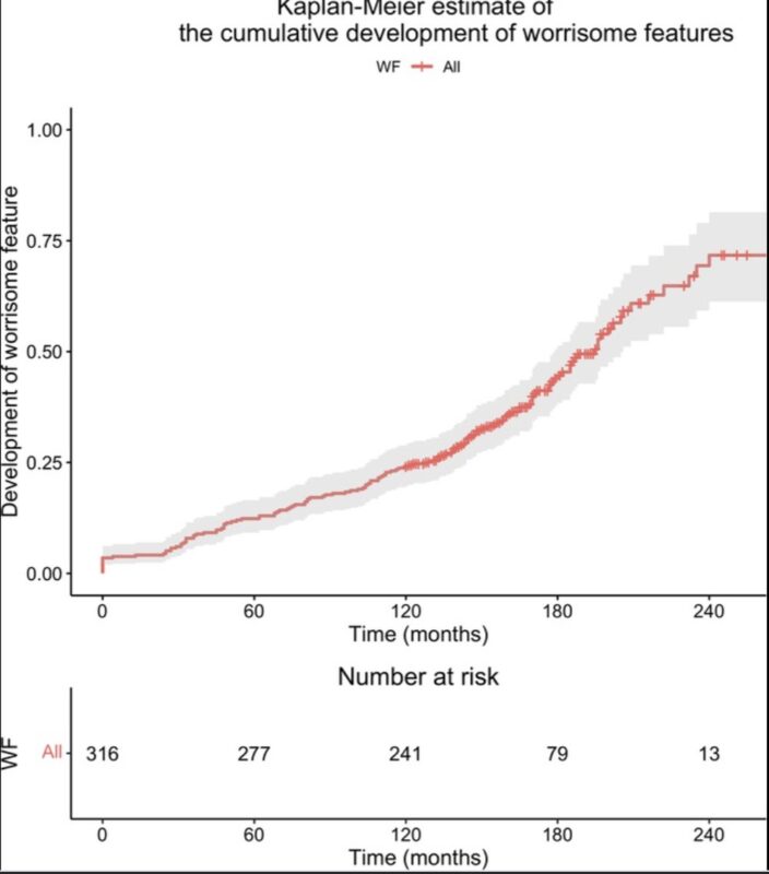 Long term natural history of Branch Duct Intraductal Papillary Mucinous Neoplasm beyond 10 years of follow-up