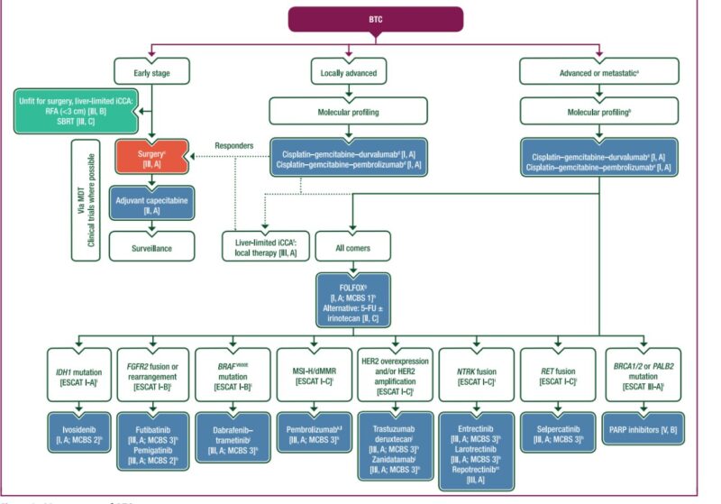 Francesco Schettini: Which ADC is to prioritise in HR+ and TN BC?