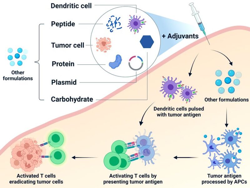 Shahrin Ahmed: A vaccine is showing promise for breast cancer