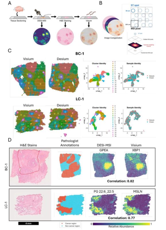 Anirban Maitra: The ability to run mass spectrometry metabolomics and spatial transcriptomics on the same cancer tissue