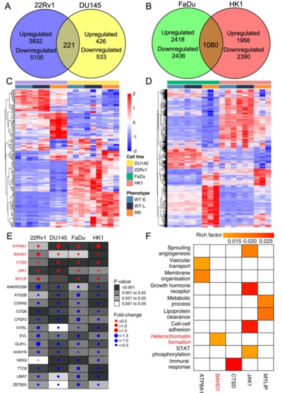 Melvin LK Chua: The mutational landscape of Radioresistant Cancers