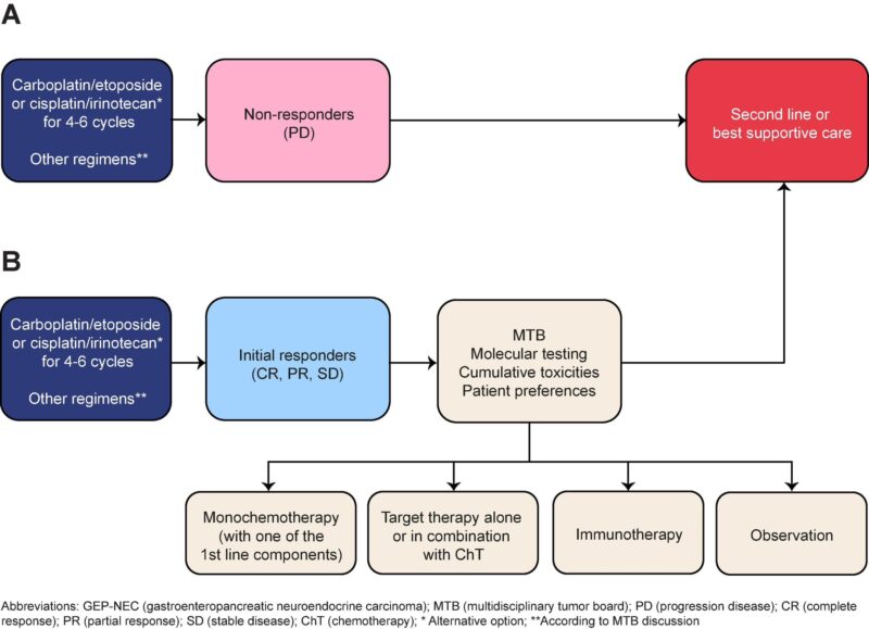 Udhayvir Grewal's review on maintenance strategies in GEP-NECs after platinum based chemotherapy