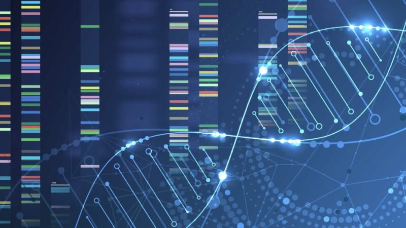 What is NGS and is it suitable for all cancer patients – National Cancer Centre Singapore