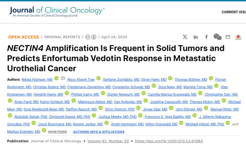 María Natalia Gandur Quiroga: NECTIN4 Amplification Predicts Enfortumab Vedotin Response in mUC by Niklas Klümper et al.