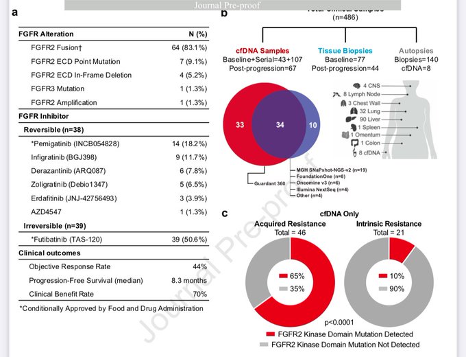 Erman Akkus: Acquired Resistance to FGFR inhibitors in Cholangiocarcinoma