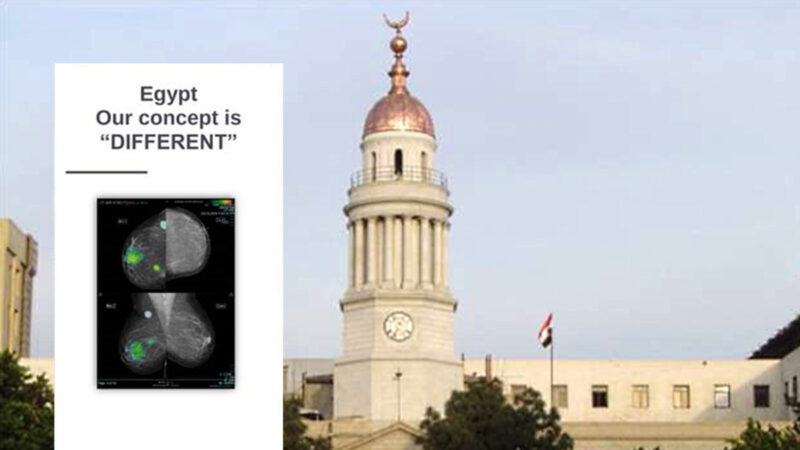 Sahar Mansour: At Cairo University, our concept is ‘DIFFERENT’