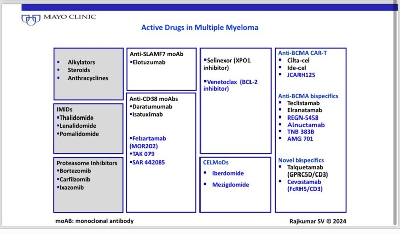 Highlights from Day 3 of ASH 2024