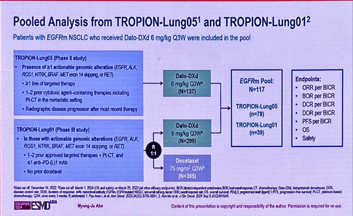 Best of ESMO Asia 2024