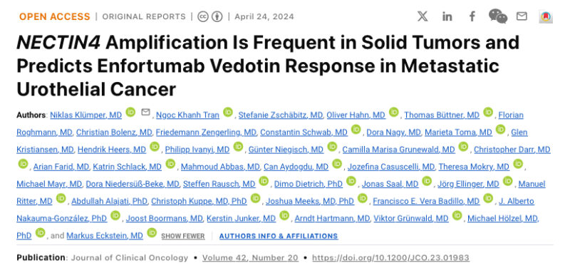 Enrique Grande: NECTIN4 amplifications appear in ~25% of metastatic cases