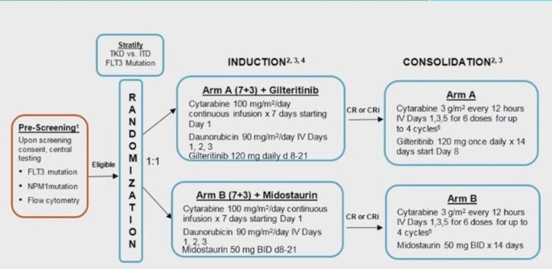 Talha Badar: ASH24 abstract in acute leukemia and MDS